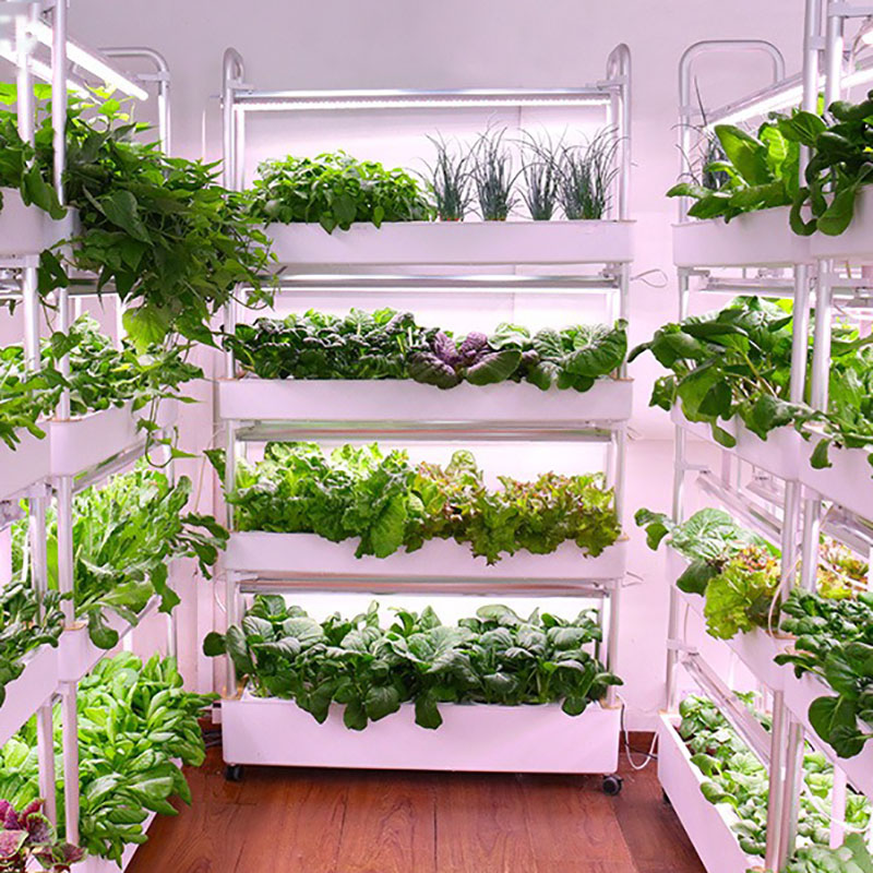 Smart Garden Box - Hydroponics Growing System Vertical Smart Indoor