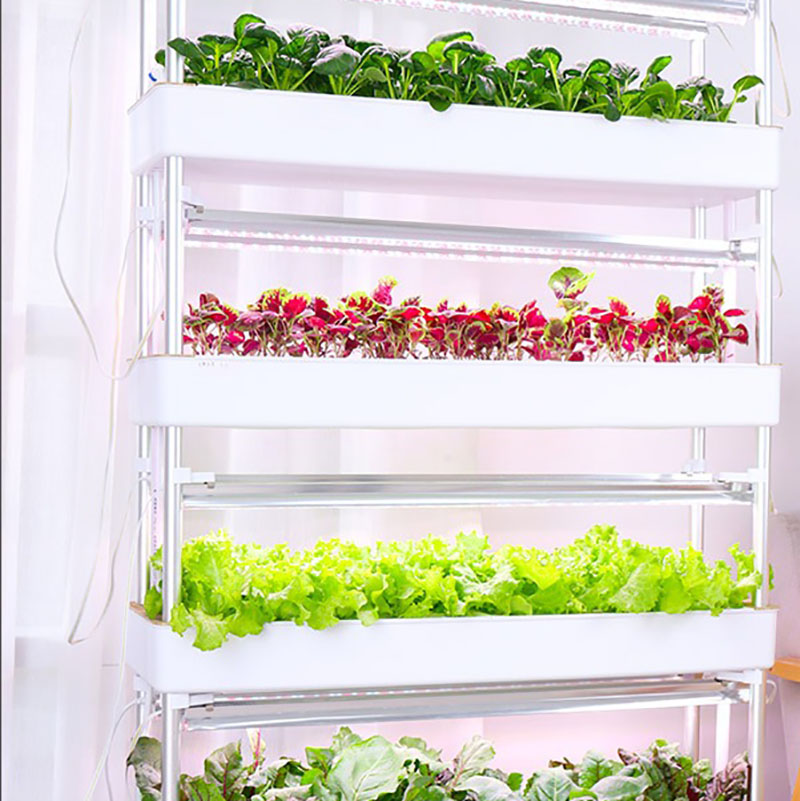 Hydroponics Growing System Ver - Smart Garden Box recension och pris