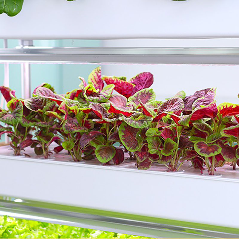 Hydroponics Growing System Ver - Smart Garden Box recension och pris