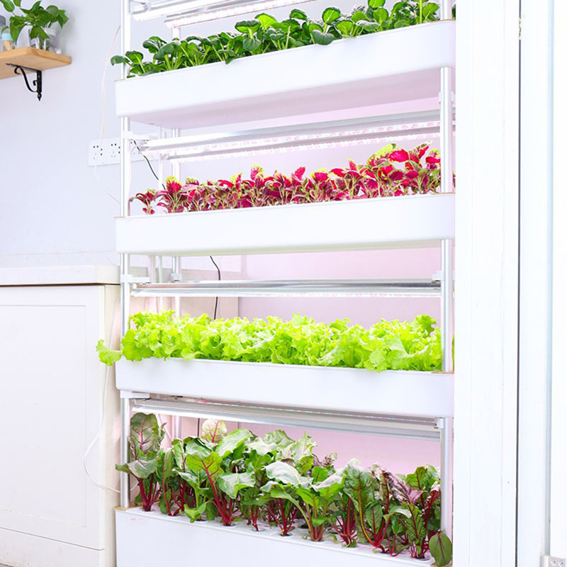 Hydroponics Growing System Ver - Smart Garden Box recension och pris