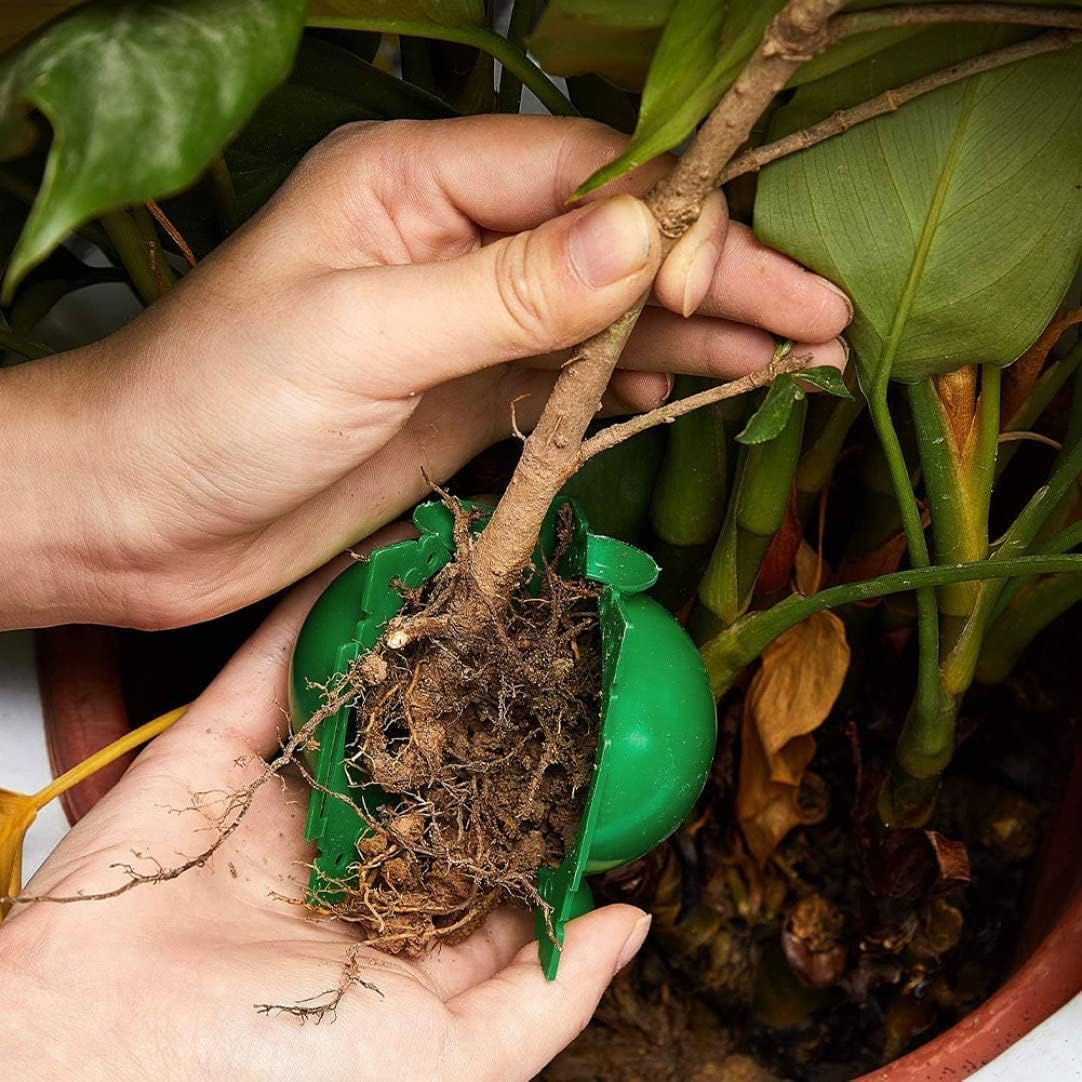 Reusable Plant Rooting Ball Ga - Smart Garden Box recension och pris