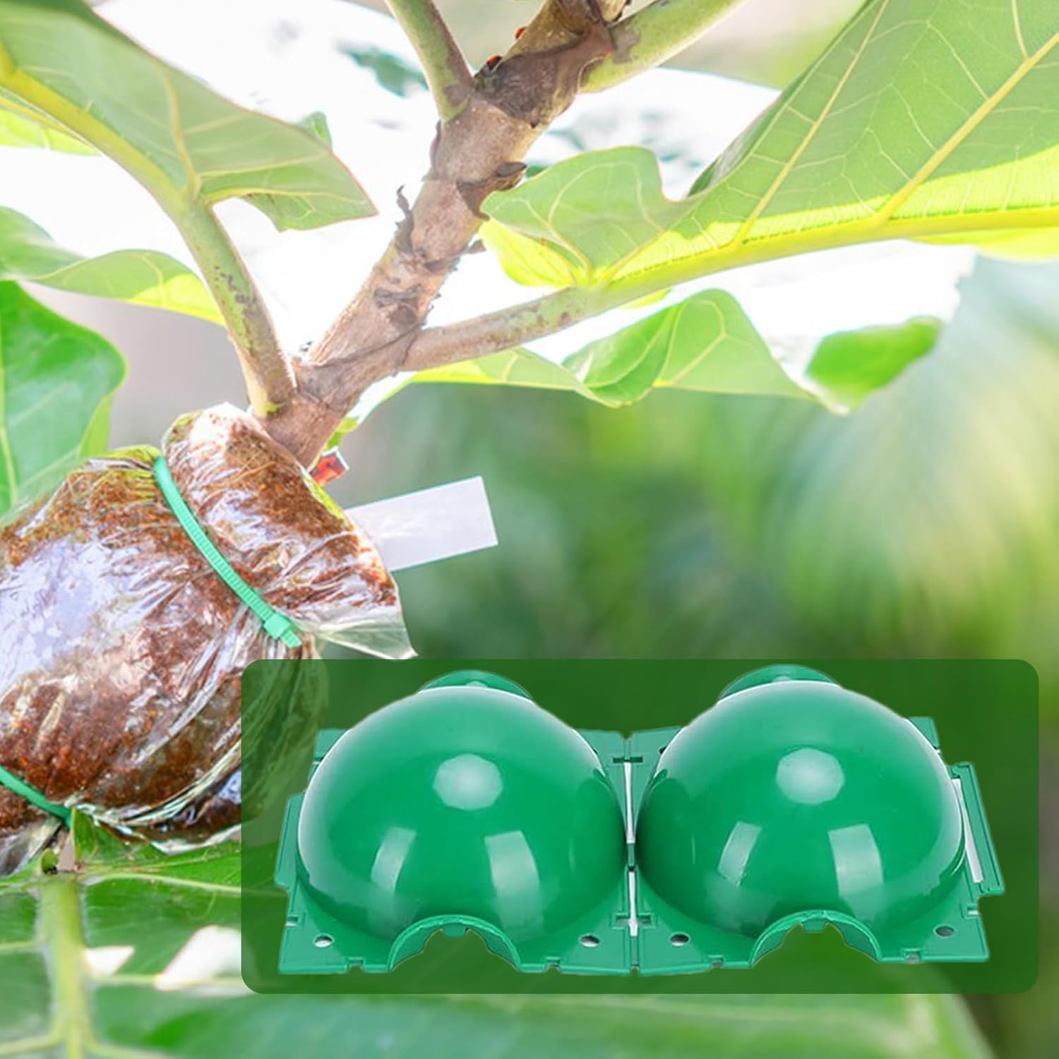 Reusable Plant Rooting Ball Ga - Smart Garden Box recension och pris