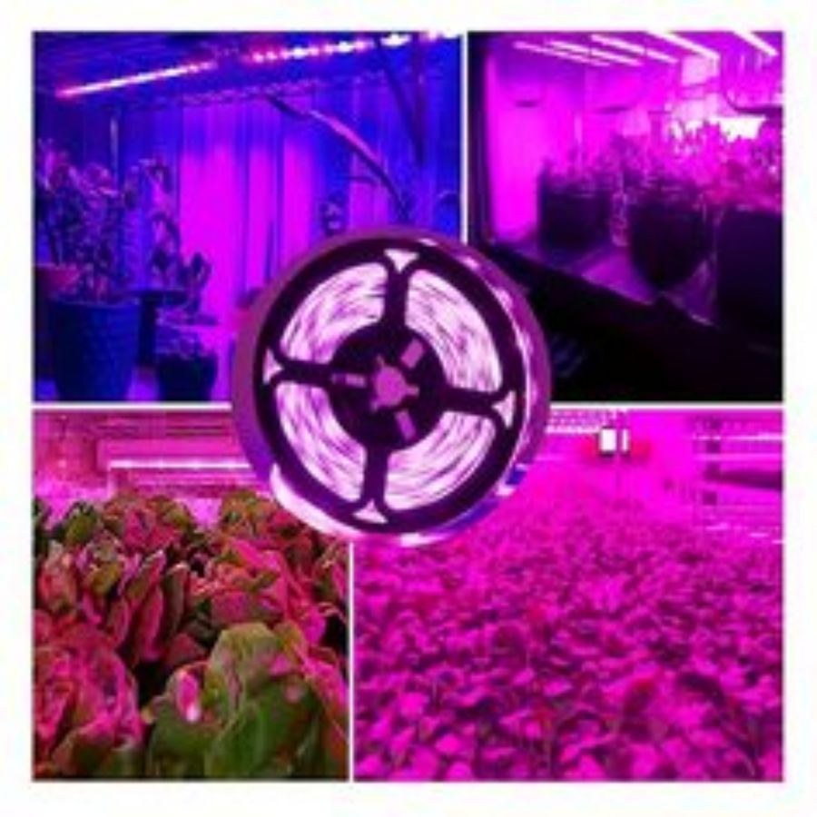 1M/2M/3M/5M/10M LED Full Spect - Led Plant Light Strip recension och pris