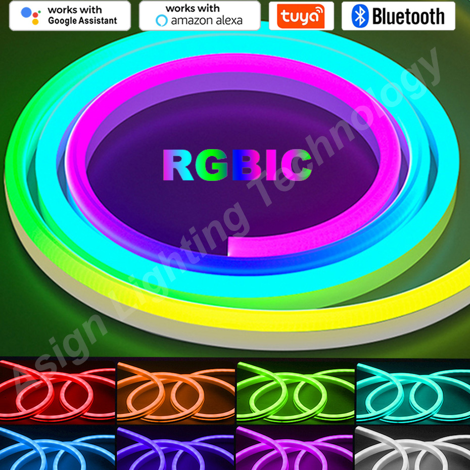 RGBIC LED Neon Strip 12V 96LED - App Smart Garden recension och pris