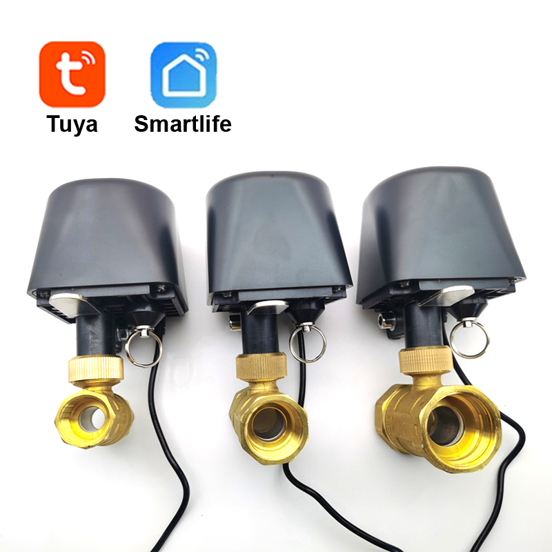 Tuya WiFi or Zigbee Water Valv - Smart Garden Water Timer recension och pris